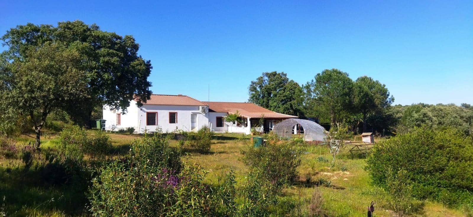 6 slaapkamer Finca/Landhuis te koop in El Ronquillo met zwembad - € 290.000 (Ref: 9663780)
