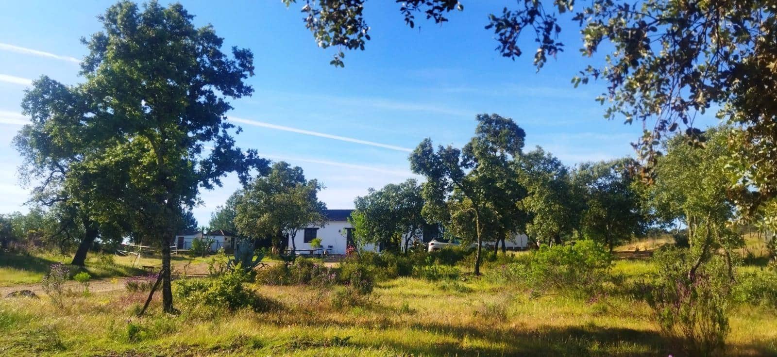 6 slaapkamer Finca/Landhuis te koop in El Ronquillo met zwembad - € 290.000 (Ref: 9663780)