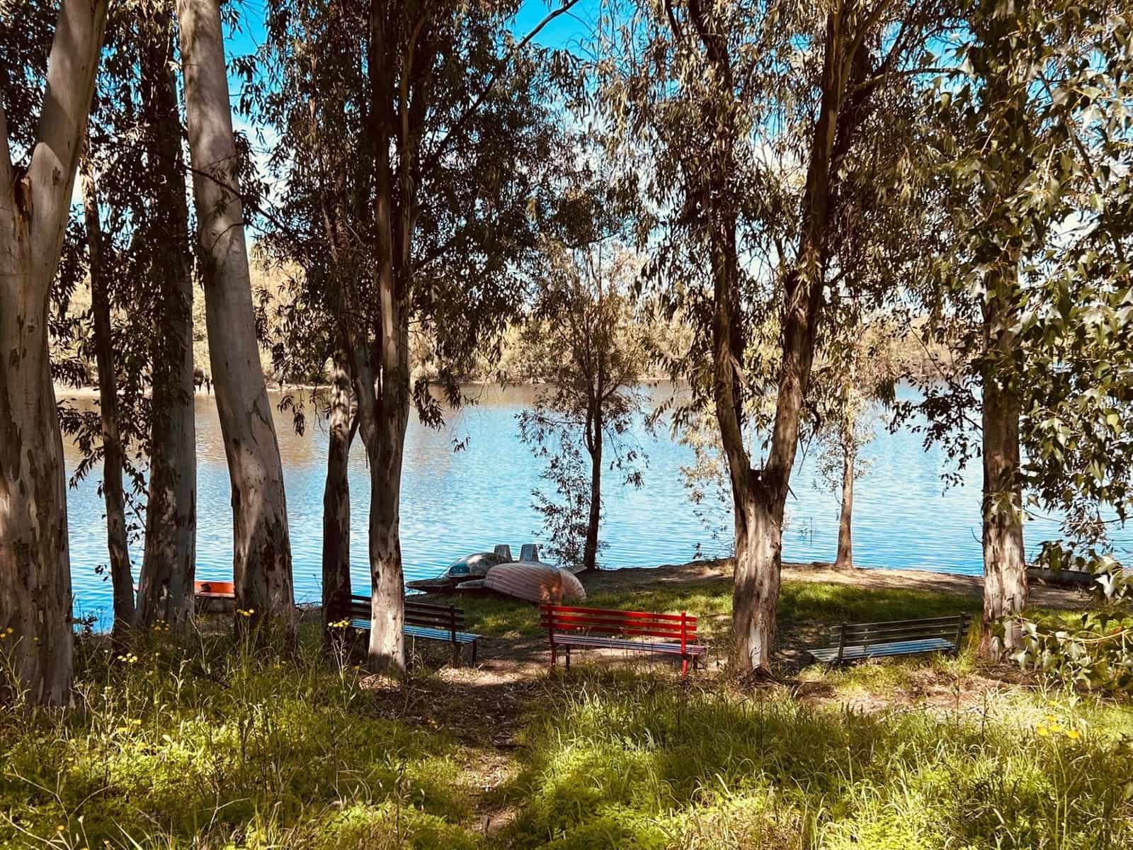 2 bedroom Flat for sale in Guillena with pool - € 85,000 (Ref: 9732204)