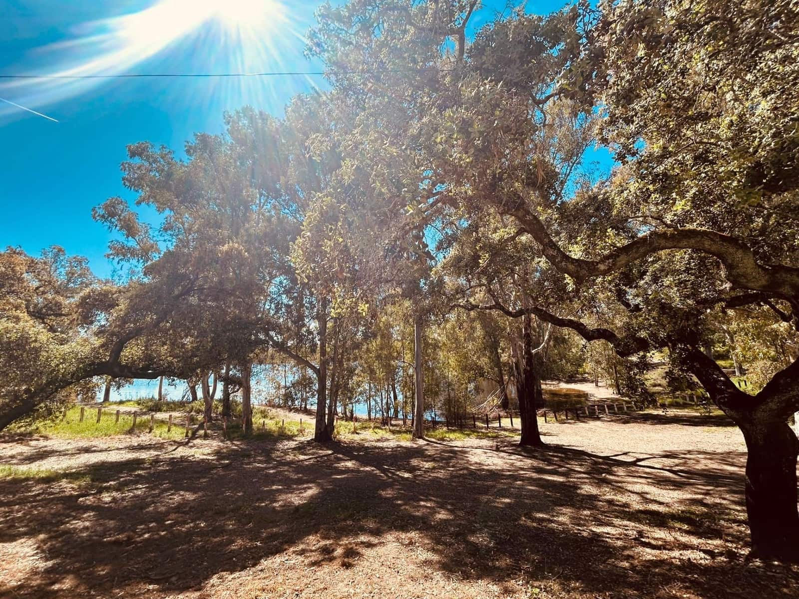 2 bedroom Flat for sale in Guillena with pool - € 85,000 (Ref: 9732204)