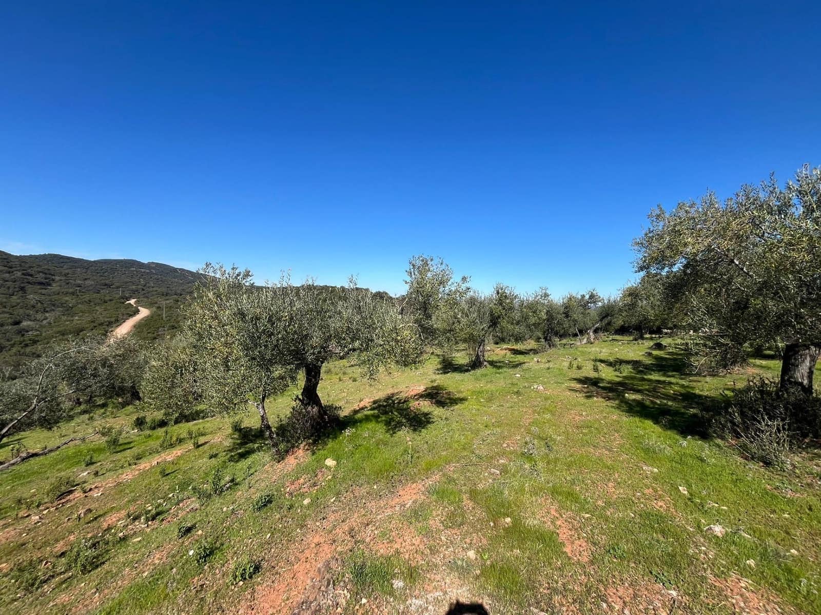 Undeveloped Land for sale in Zufre - € 130,000 (Ref: 9735656)