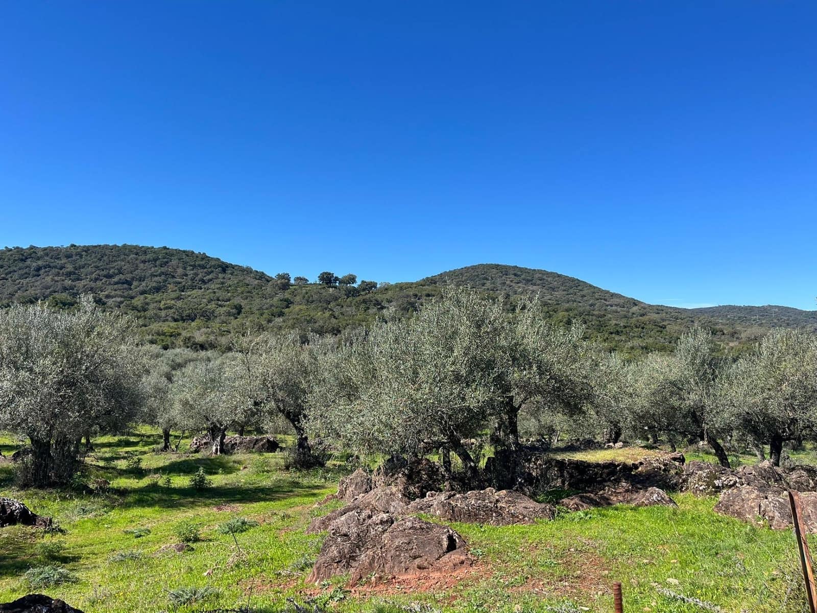 Undeveloped Land for sale in Zufre - € 130,000 (Ref: 9735656)