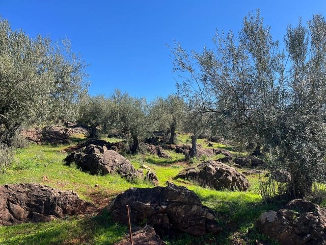 Undeveloped Land for sale in Zufre - € 130,000 (Ref: 9735656)