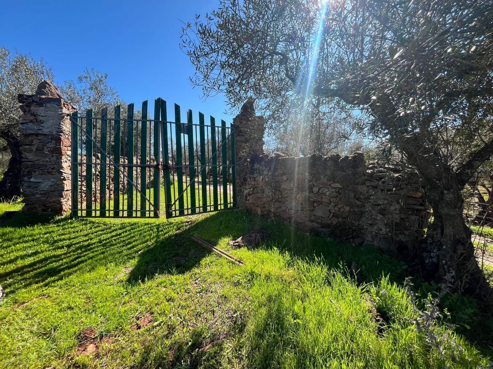 Undeveloped Land for sale in Zufre - € 130,000 (Ref: 9735656)