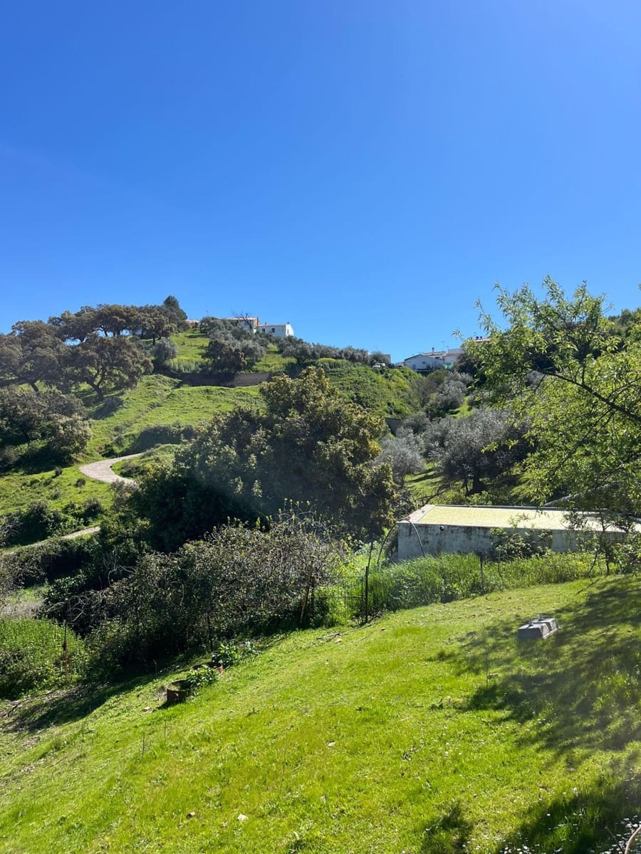 Undeveloped Land for sale in Zufre - € 335,000 (Ref: 9738633)