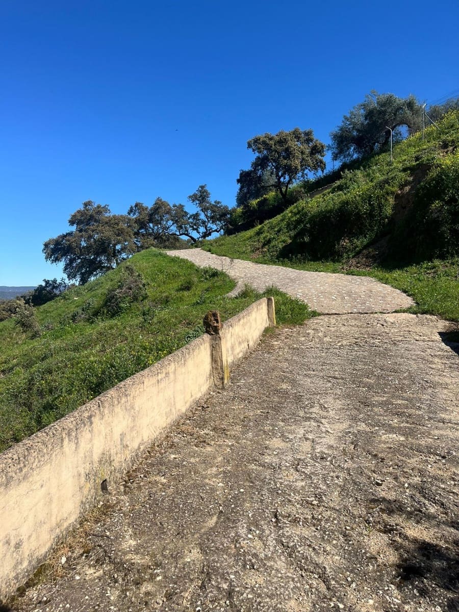 Undeveloped Land for sale in Zufre - € 335,000 (Ref: 9738633)