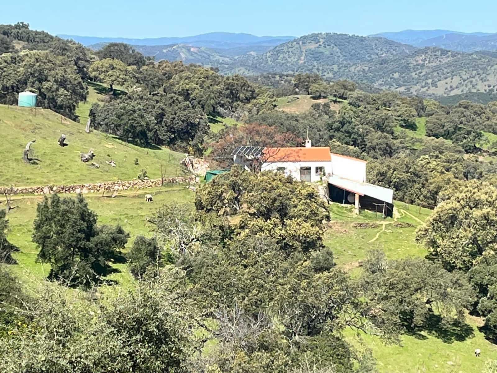 Undeveloped Land for sale in Zufre - € 335,000 (Ref: 9738633)