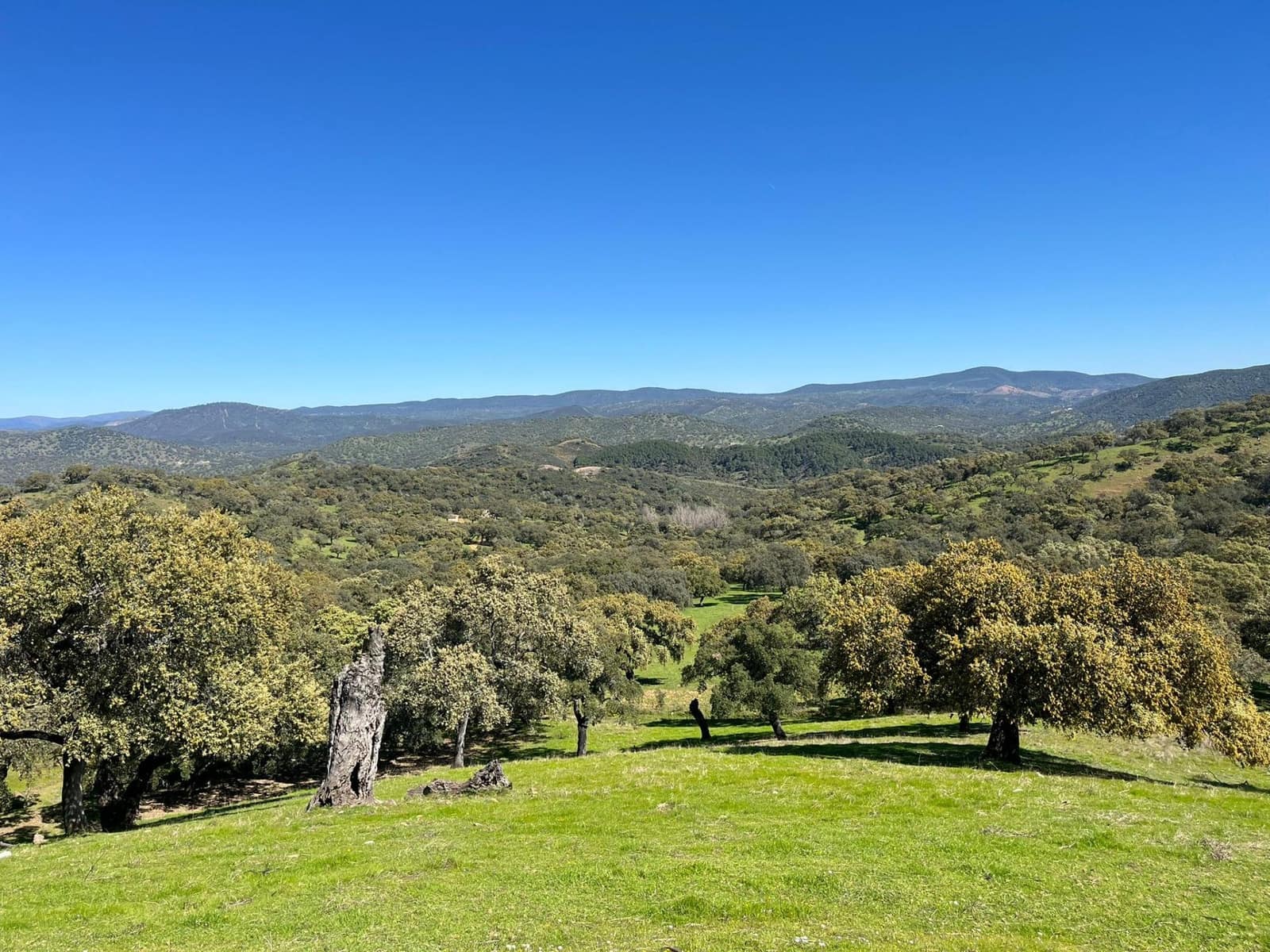 Undeveloped Land for sale in Zufre - € 335,000 (Ref: 9738633)