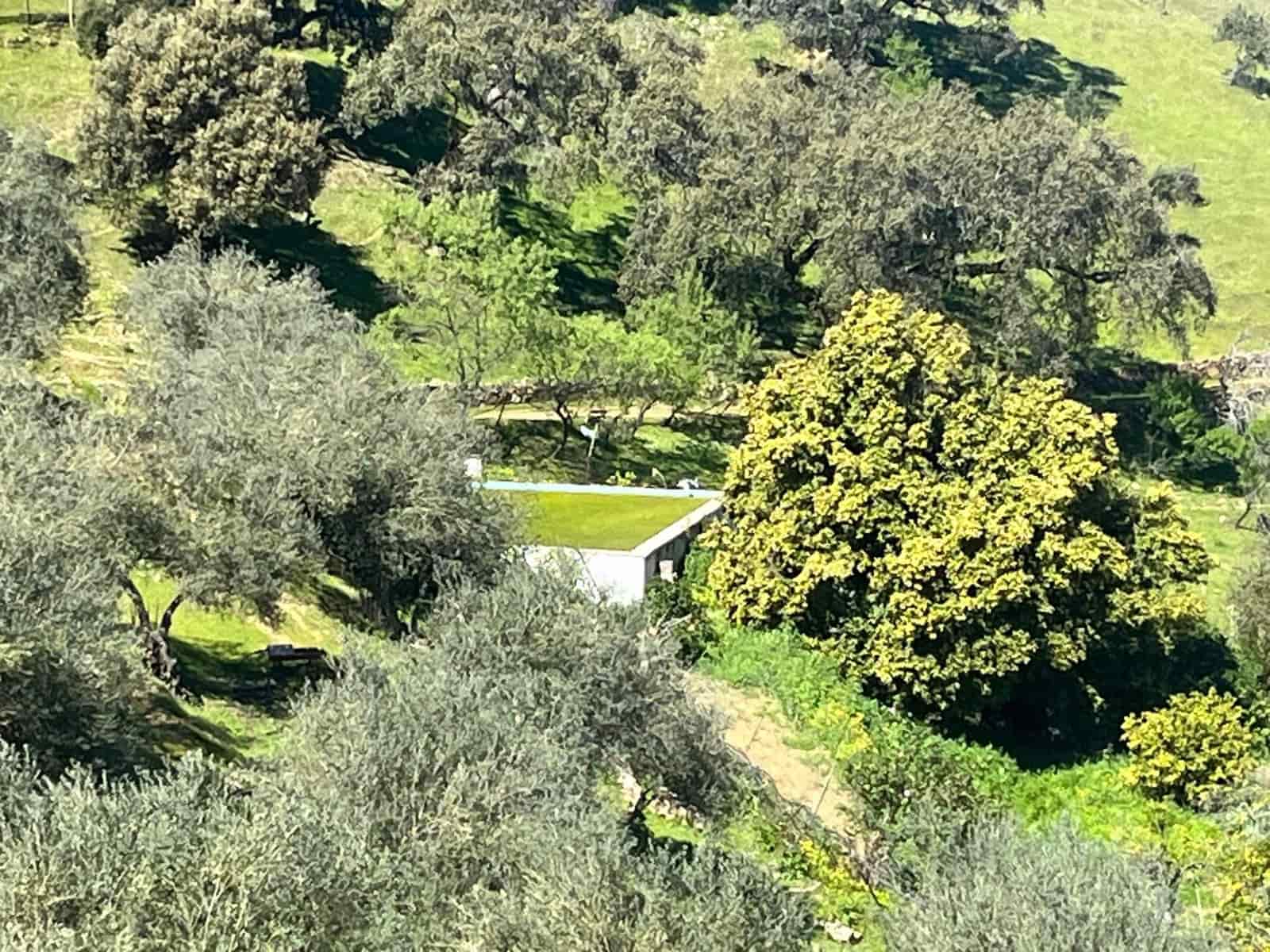 Undeveloped Land for sale in Zufre - € 335,000 (Ref: 9738633)