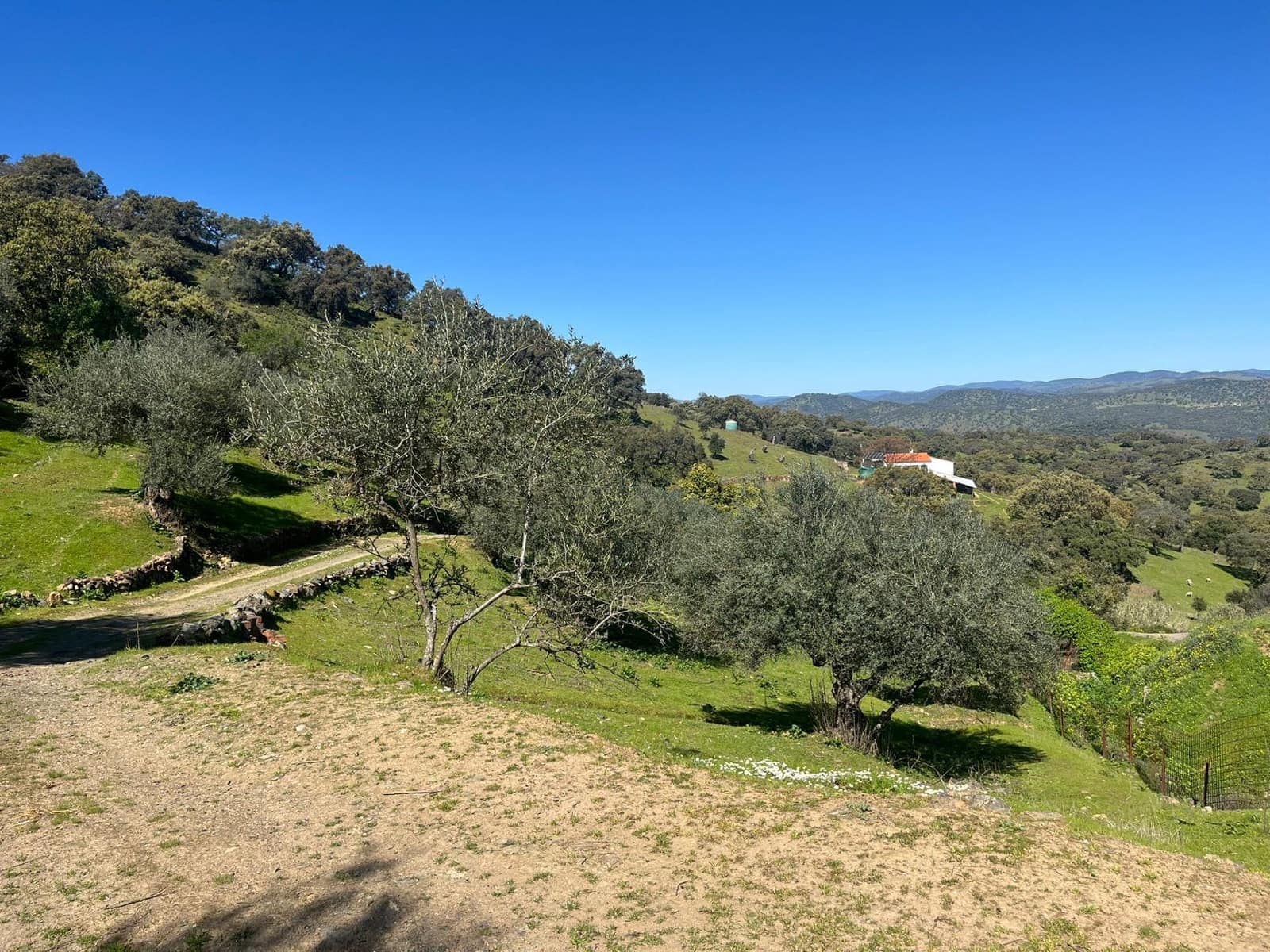 Undeveloped Land for sale in Zufre - € 335,000 (Ref: 9738633)