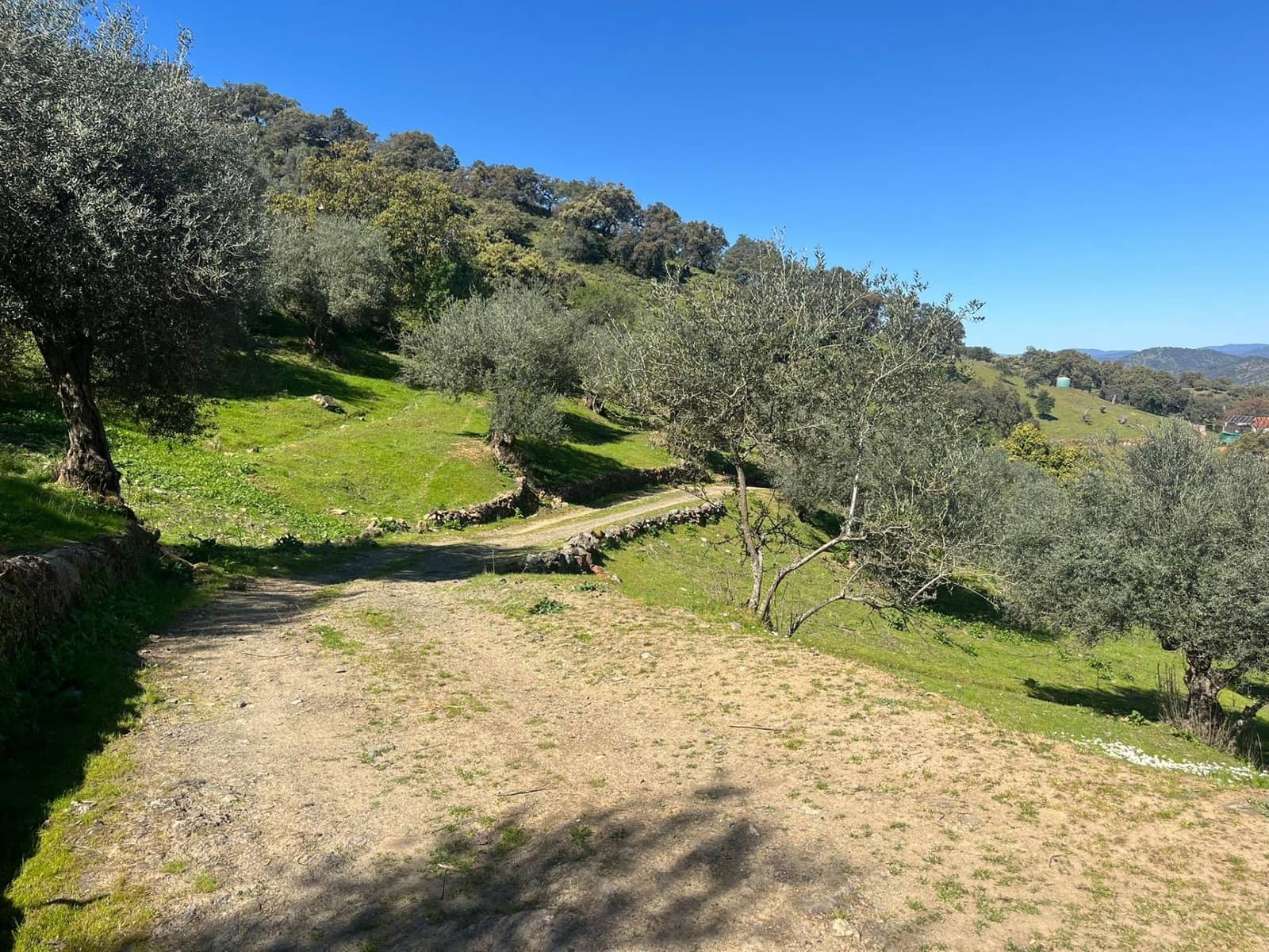 Undeveloped Land for sale in Zufre - € 335,000 (Ref: 9738633)