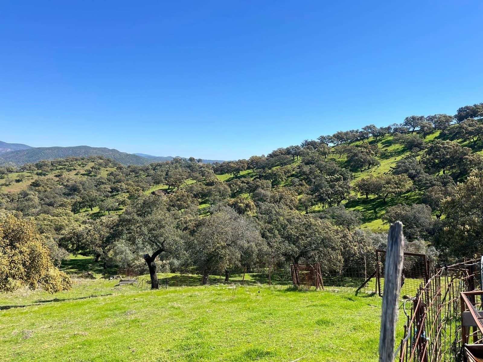 Undeveloped Land for sale in Zufre - € 335,000 (Ref: 9738633)