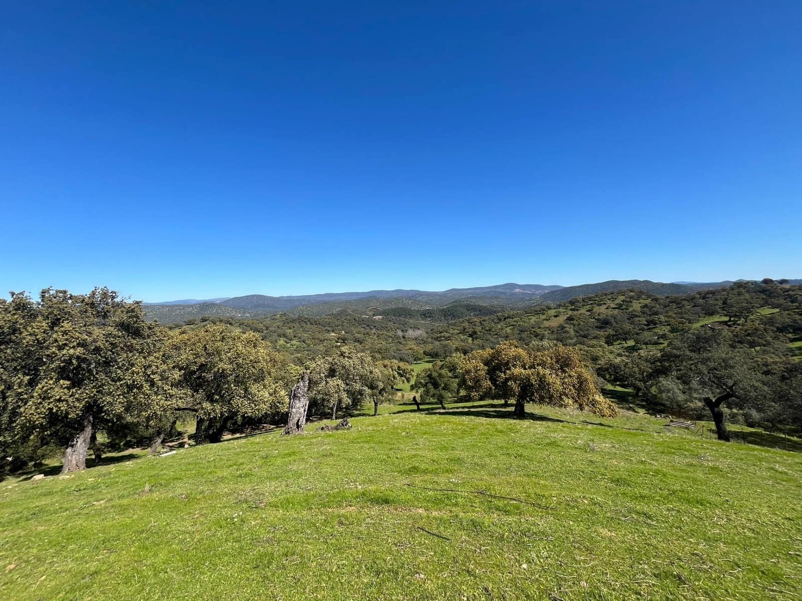 Undeveloped Land for sale in Zufre - € 335,000 (Ref: 9738633)