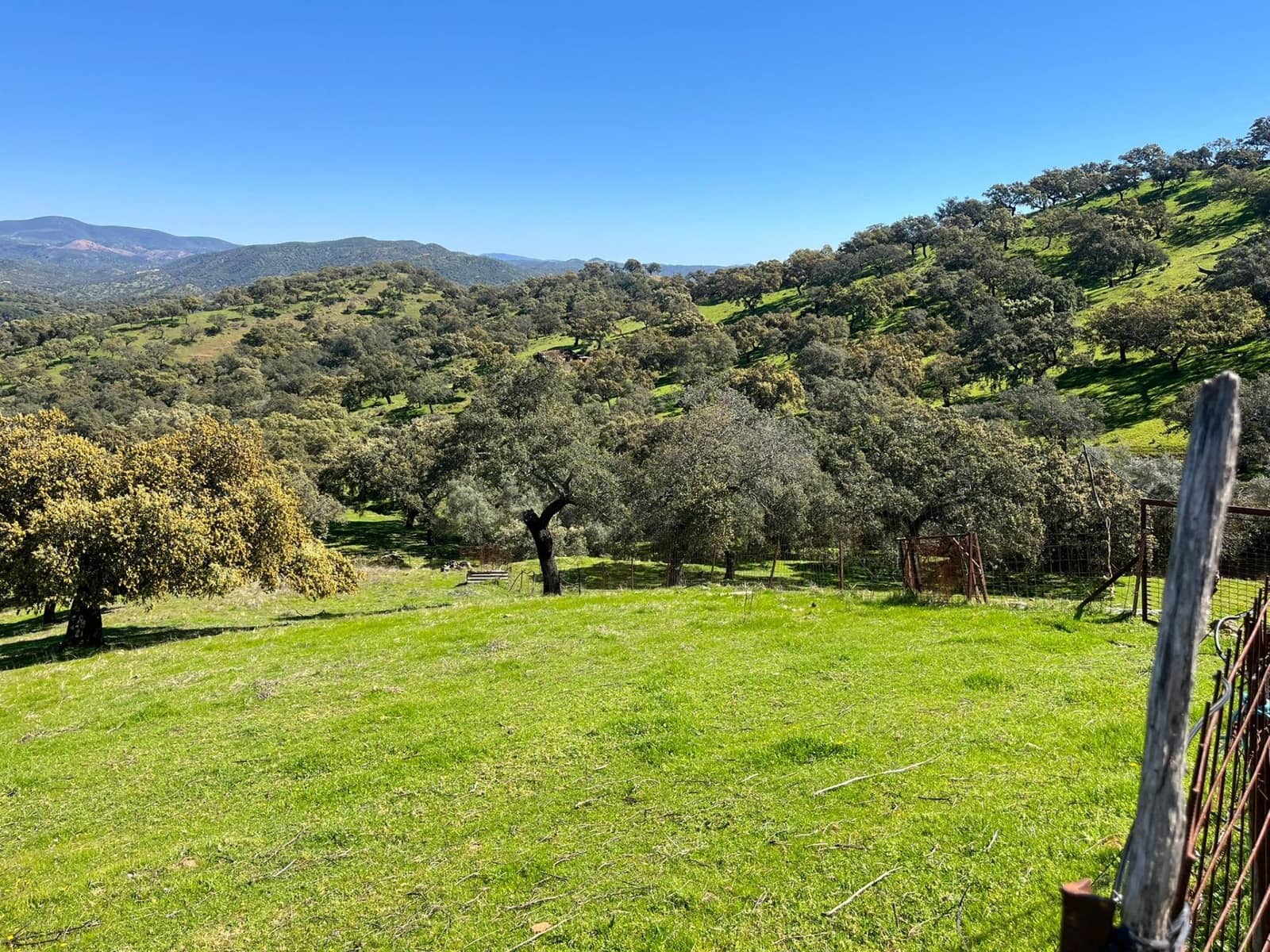 Undeveloped Land for sale in Zufre - € 335,000 (Ref: 9738633)