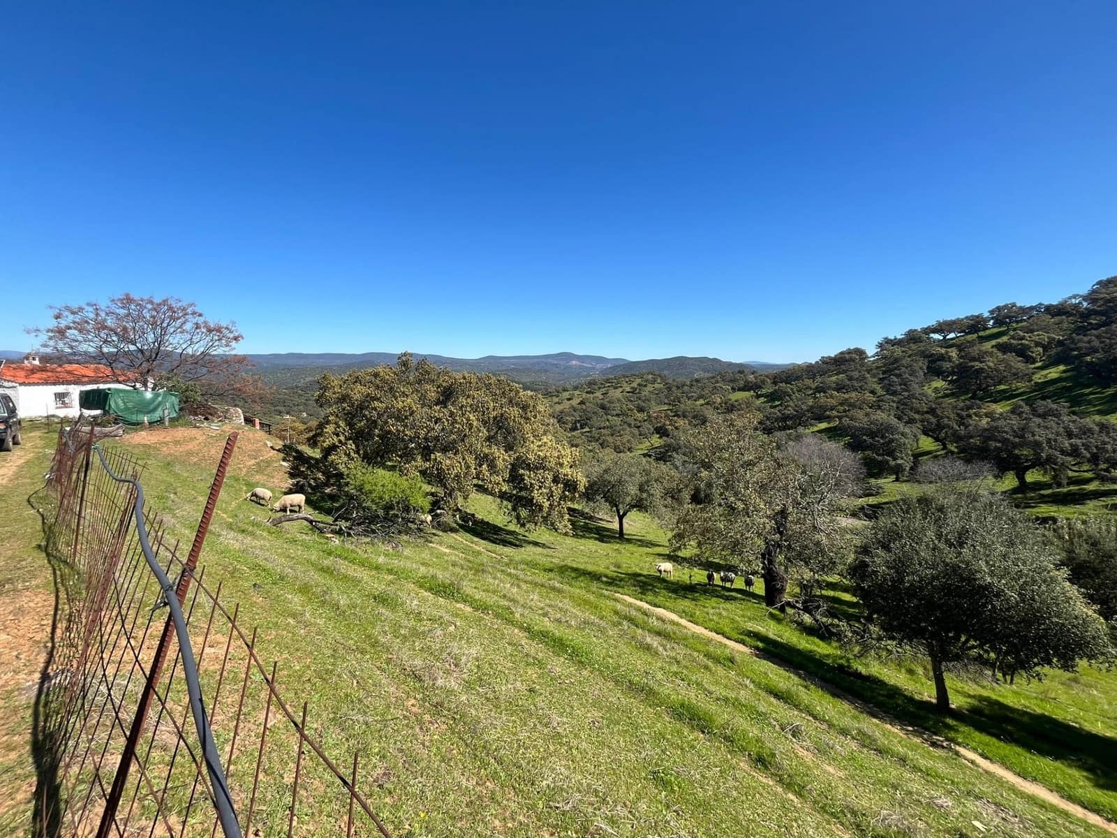 Undeveloped Land for sale in Zufre - € 335,000 (Ref: 9738633)