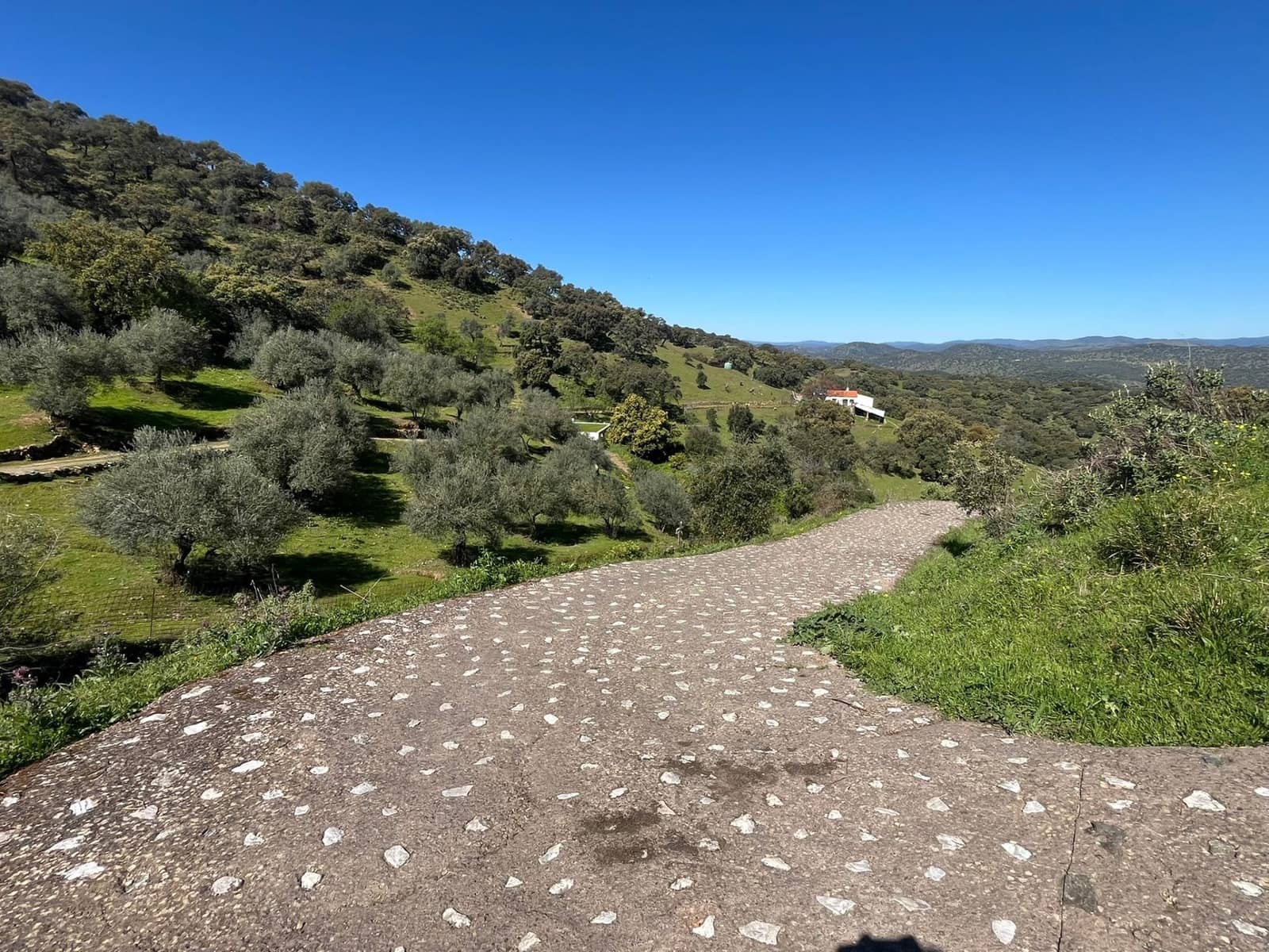 Undeveloped Land for sale in Zufre - € 335,000 (Ref: 9738633)