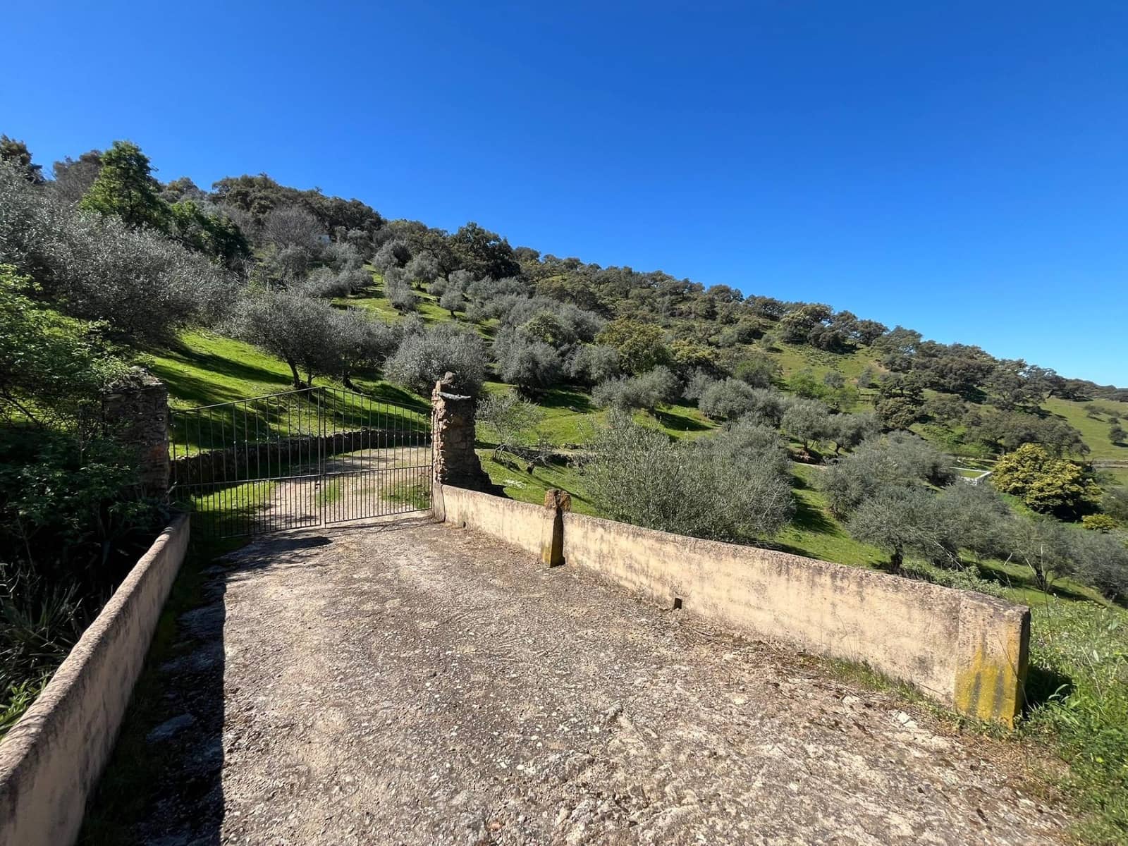 Undeveloped Land for sale in Zufre - € 335,000 (Ref: 9738633)