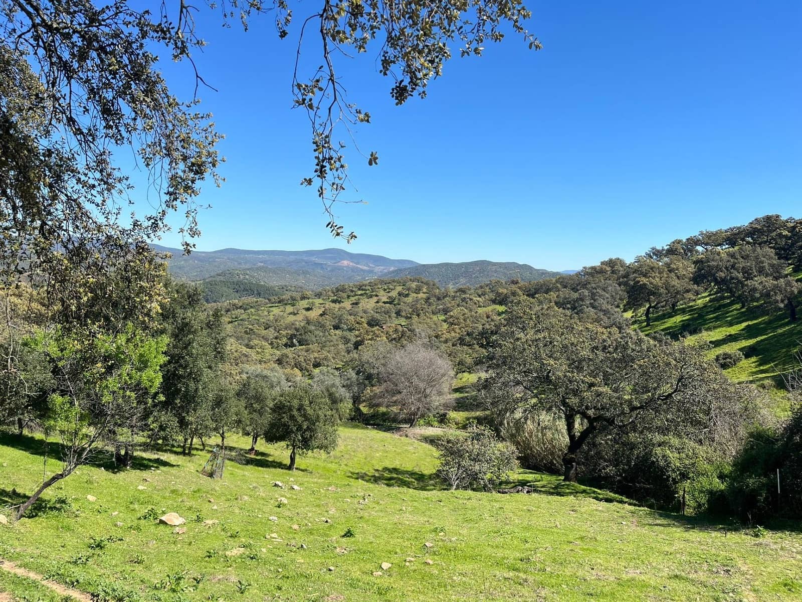 Undeveloped Land for sale in Zufre - € 335,000 (Ref: 9738633)