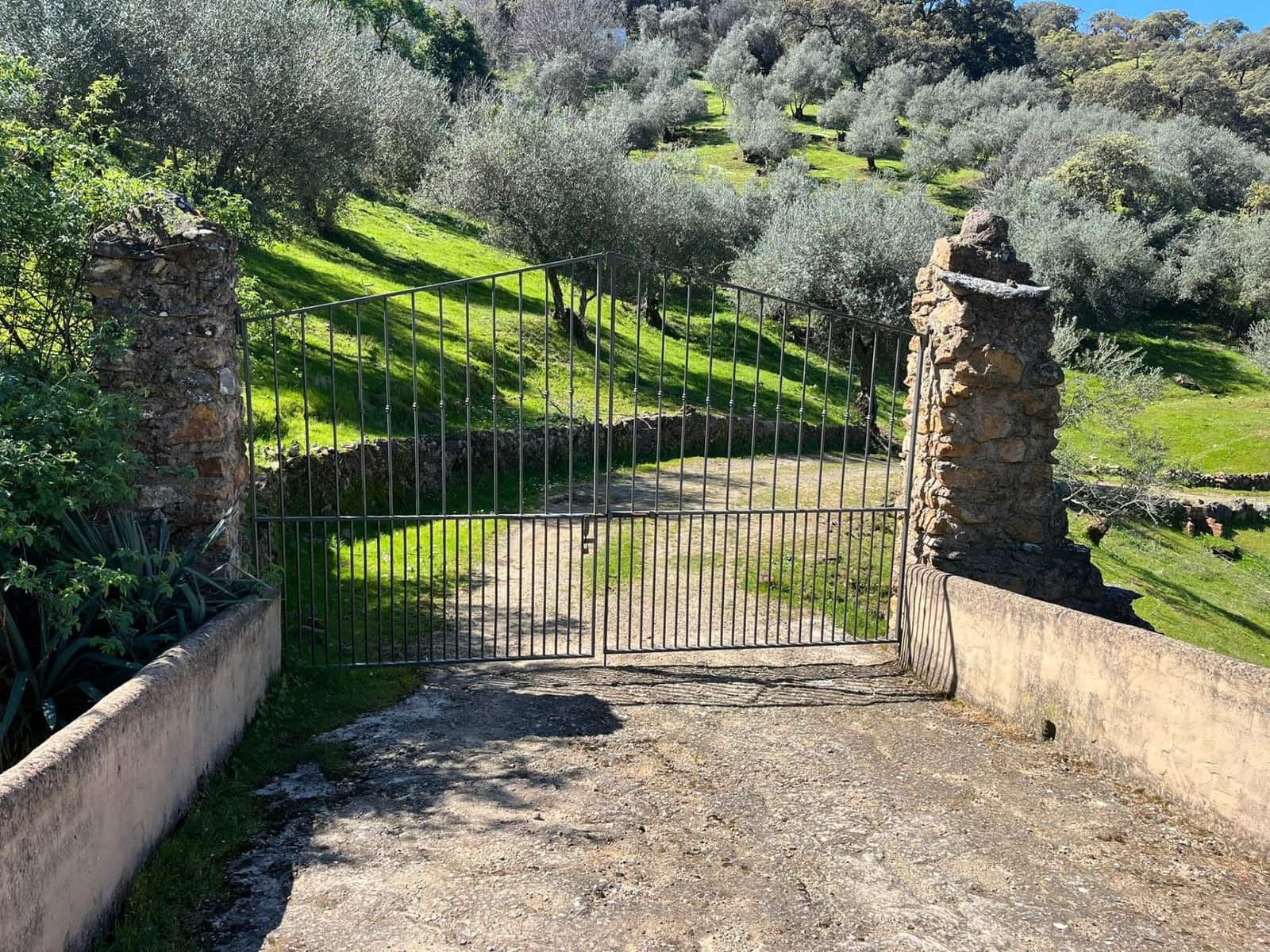 Undeveloped Land for sale in Zufre - € 335,000 (Ref: 9738633)