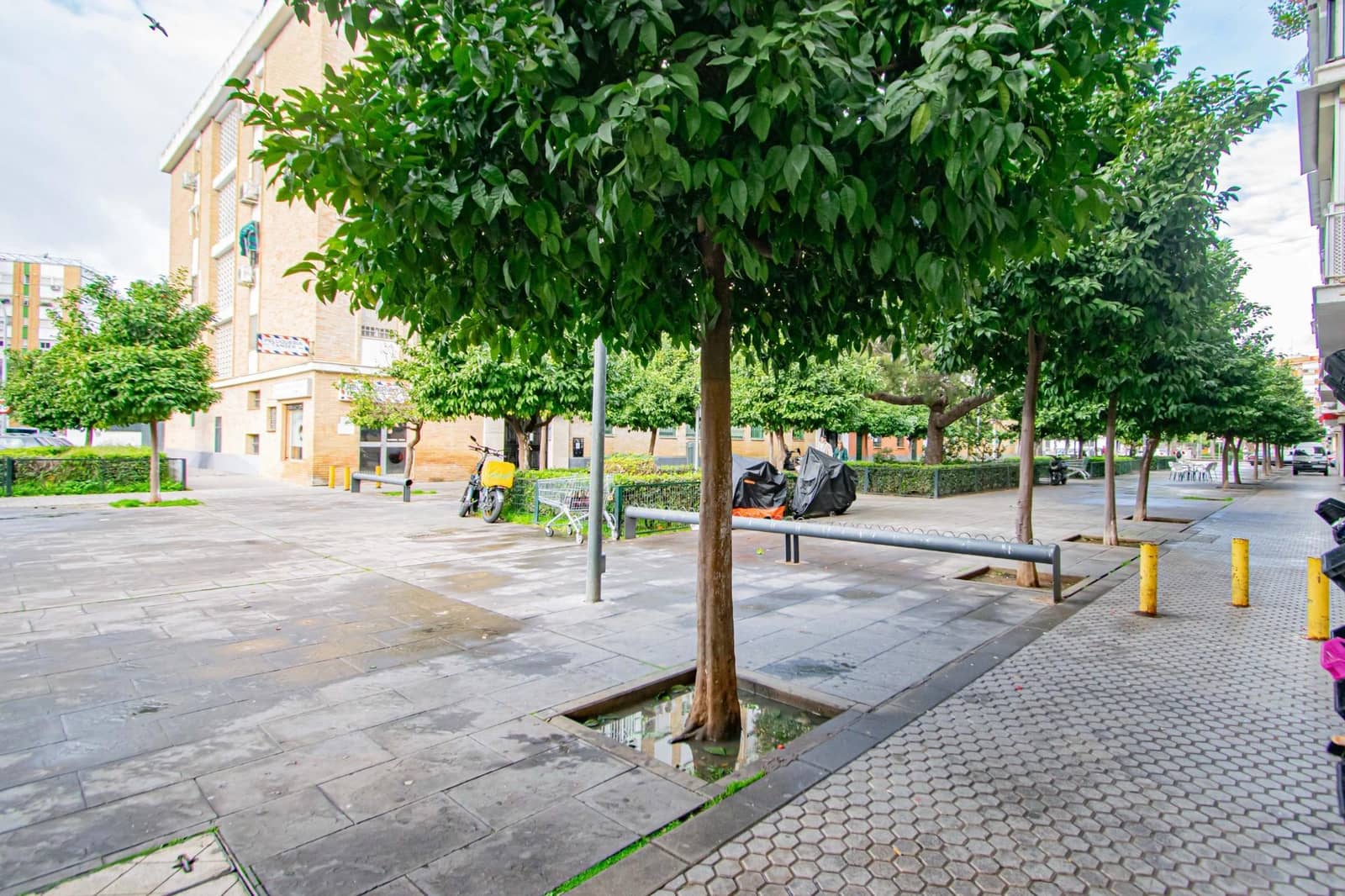 3 slaapkamer Appartement te koop in Sevilla stad - € 159.000 (Ref: 9759049)