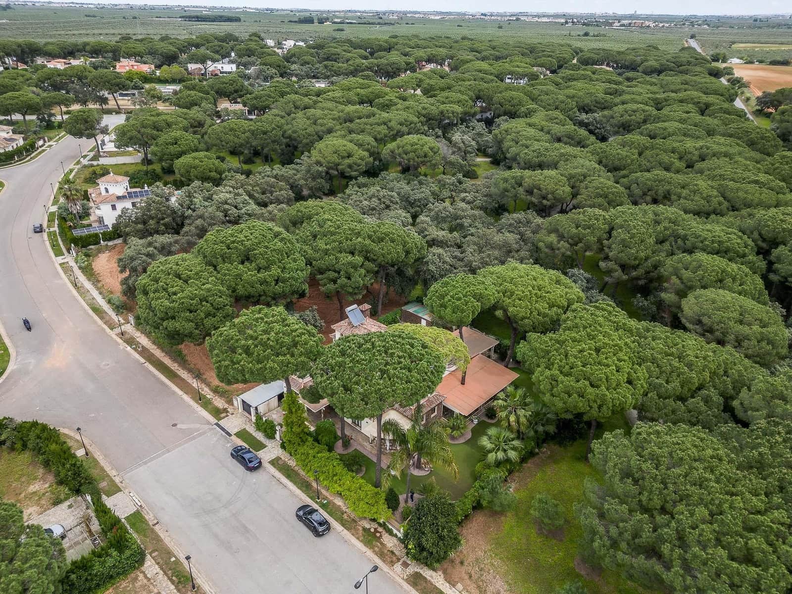 5 bedroom Villa for sale in Bollullos de la Mitacion with pool garage - € 995,000 (Ref: 9778247)