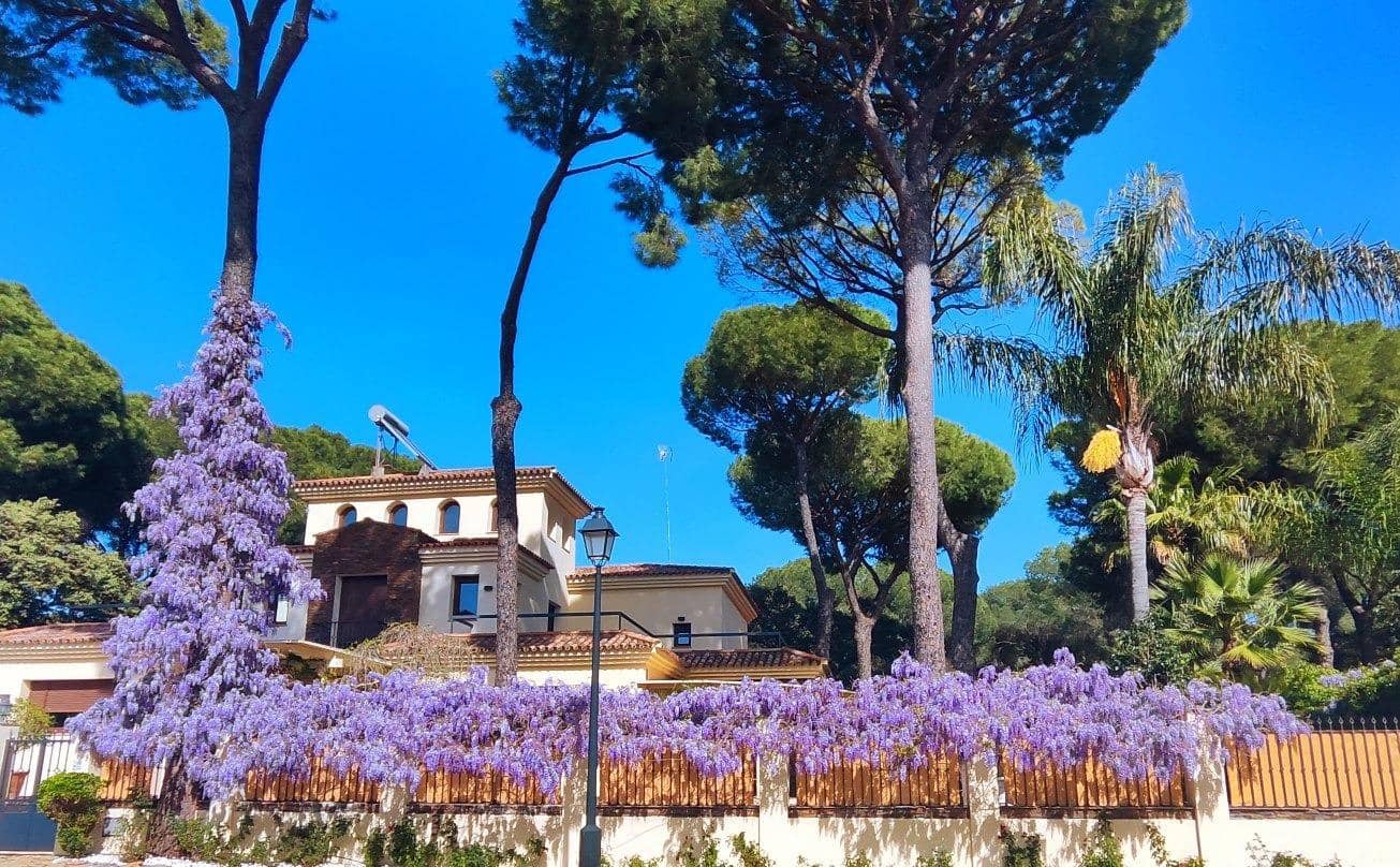 5 bedroom Villa for sale in Bollullos de la Mitacion with pool garage - € 995,000 (Ref: 9778247)