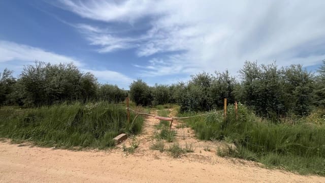 Ubebygd land til salgs i Pilas - € 60 000 (Ref: 9865254)