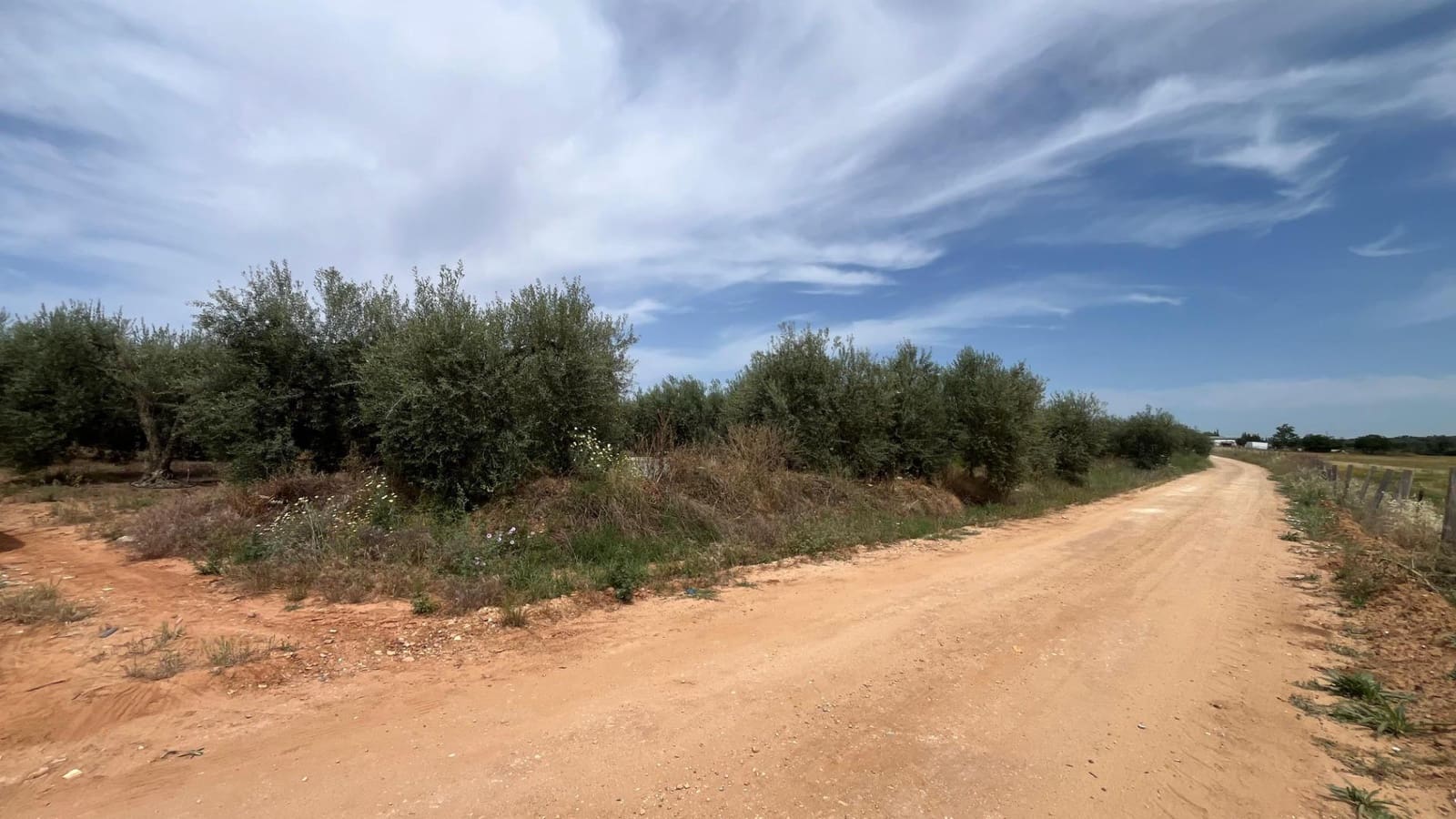 Ubebygd land til salgs i Pilas - € 60 000 (Ref: 9865254)
