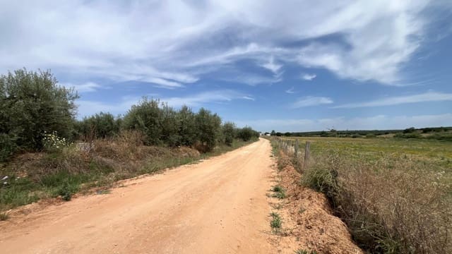 Ubebygd land til salgs i Pilas - € 60 000 (Ref: 9865254)