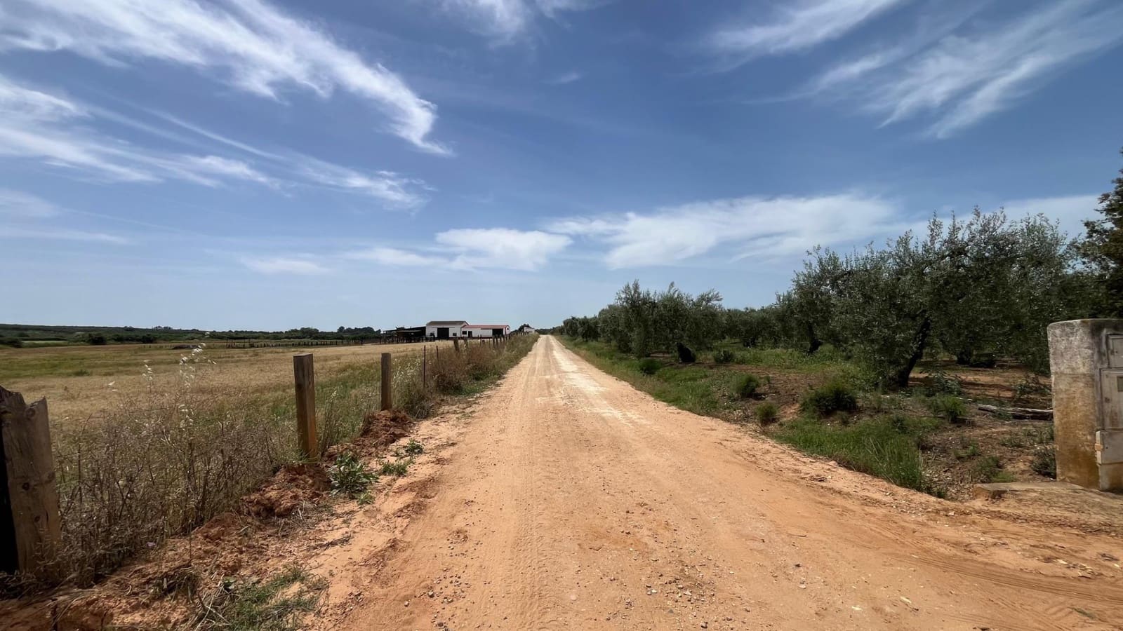 Ubebygd land til salgs i Pilas - € 60 000 (Ref: 9865254)