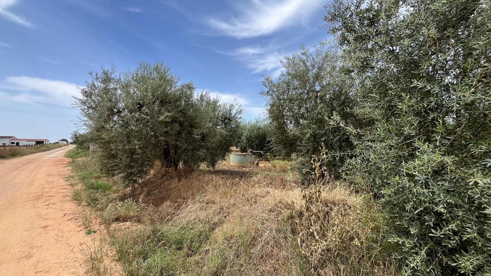 Ubebygd land til salgs i Pilas - € 60 000 (Ref: 9865254)