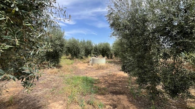 Ubebygd land til salgs i Pilas - € 60 000 (Ref: 9865254)