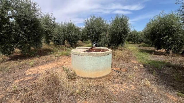 Ubebygd land til salgs i Pilas - € 60 000 (Ref: 9865254)