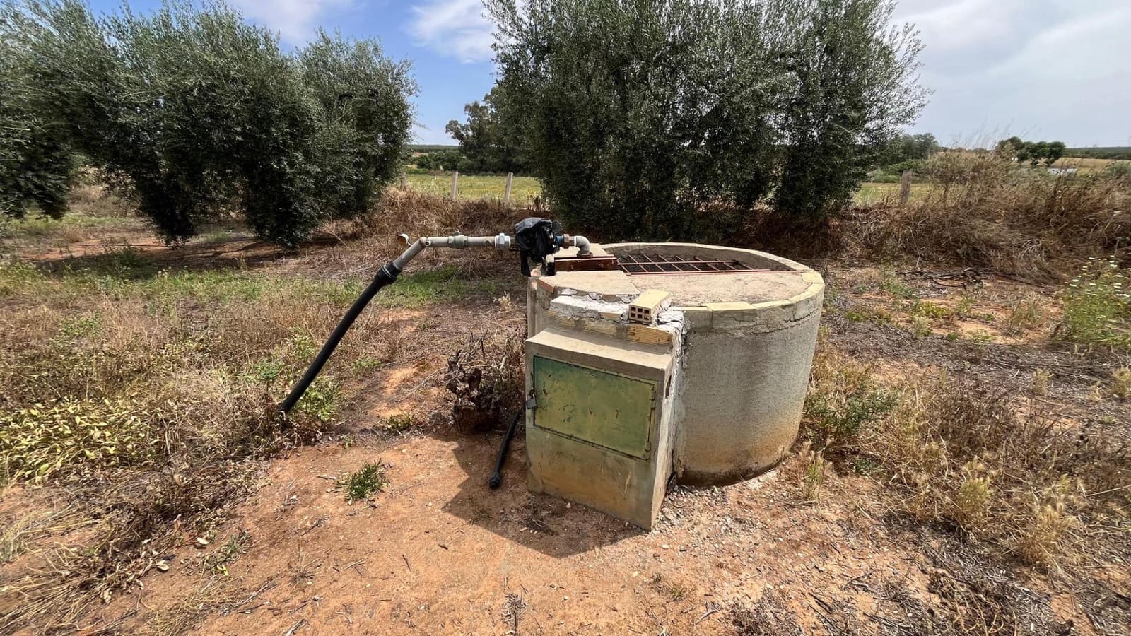 Ubebygd land til salgs i Pilas - € 60 000 (Ref: 9865254)