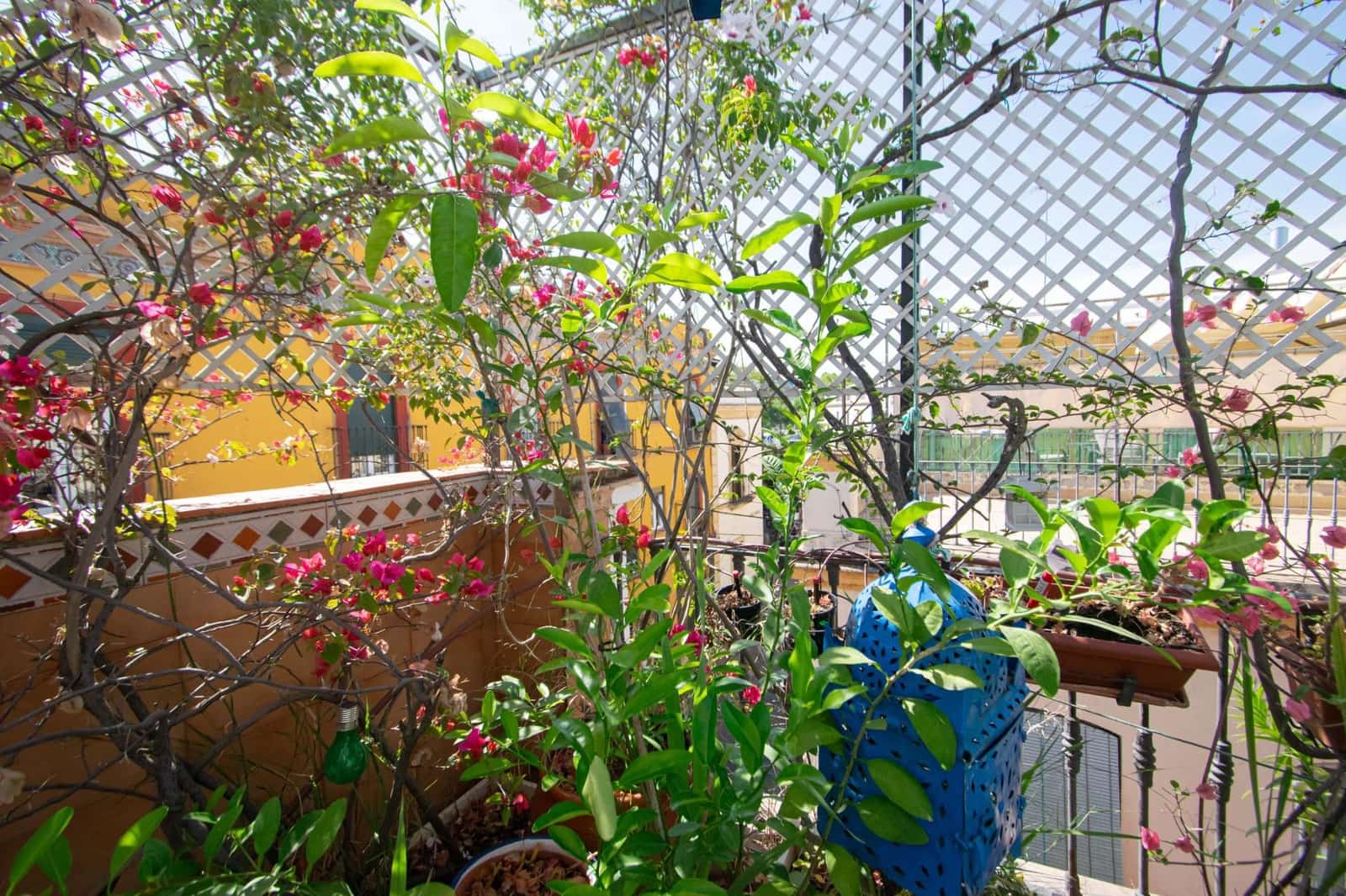 6 sovrum Hus till salu i Sevilla stad - 900 000 € (Ref: 9920505)