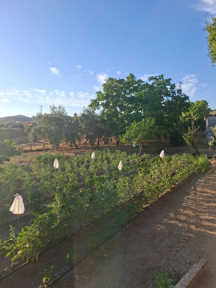 3 soveværelse Byhus til salg i Guadalcanal - € 130.000 (Ref: 9965342)