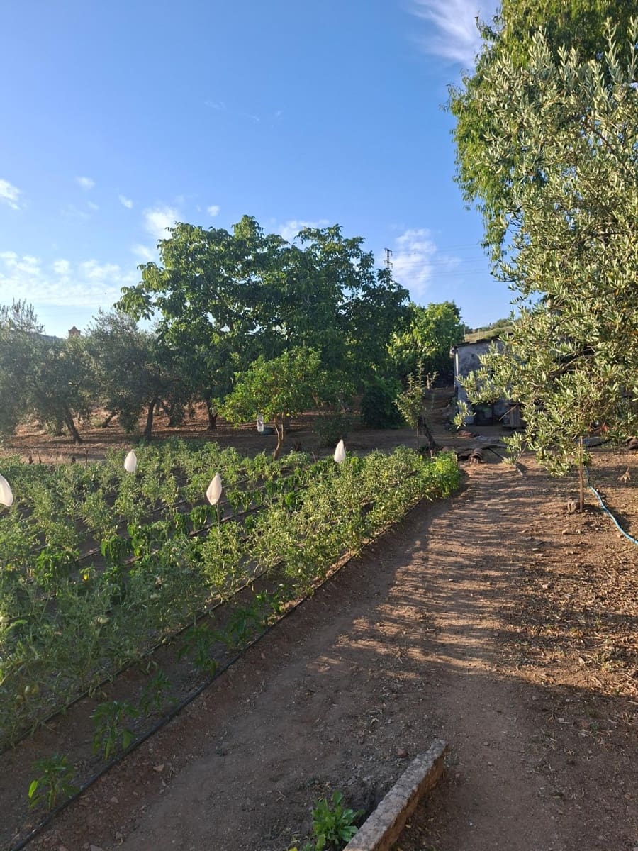 3 soveværelse Byhus til salg i Guadalcanal - € 130.000 (Ref: 9965342)