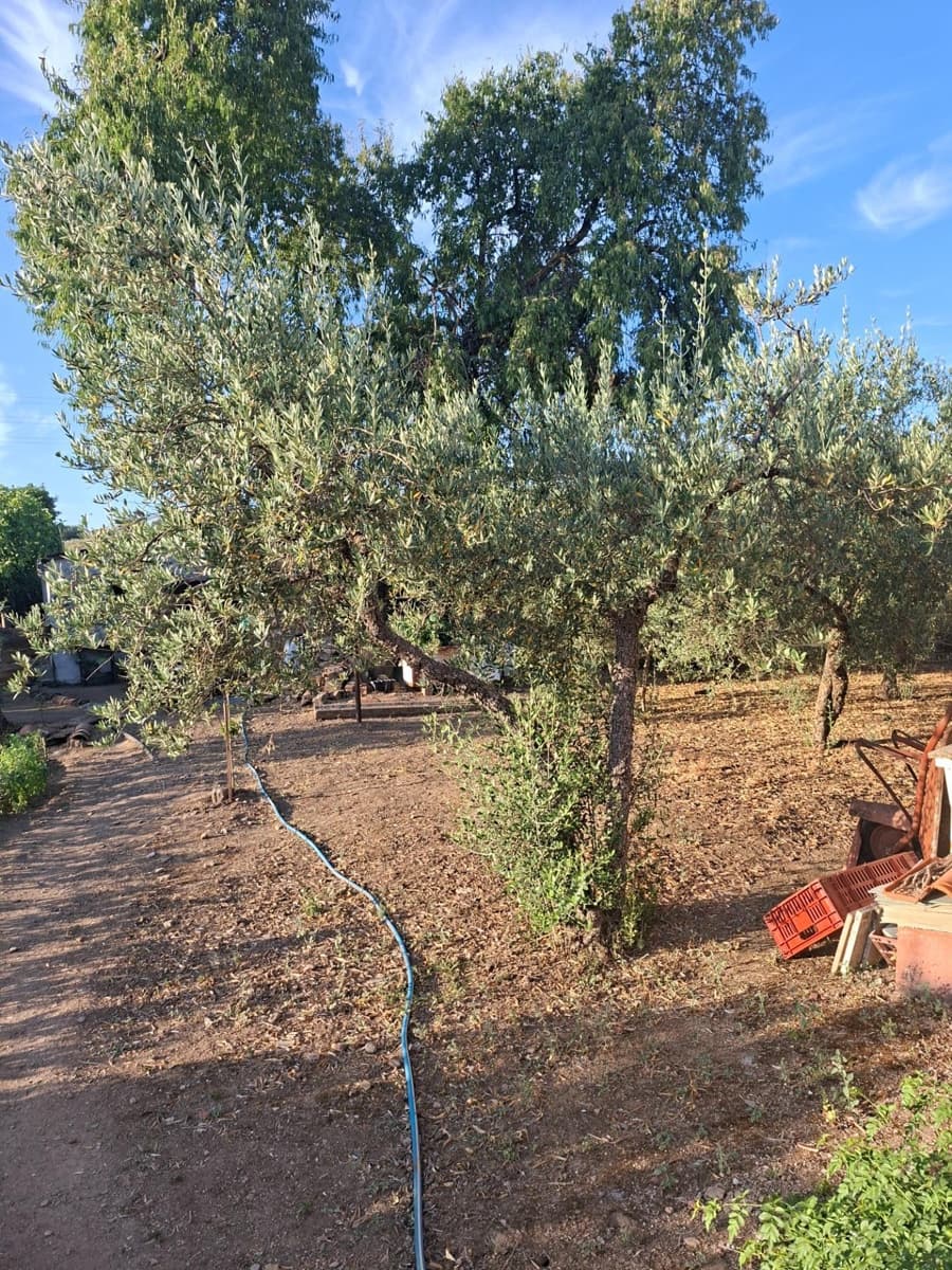 3 soveværelse Byhus til salg i Guadalcanal - € 130.000 (Ref: 9965342)