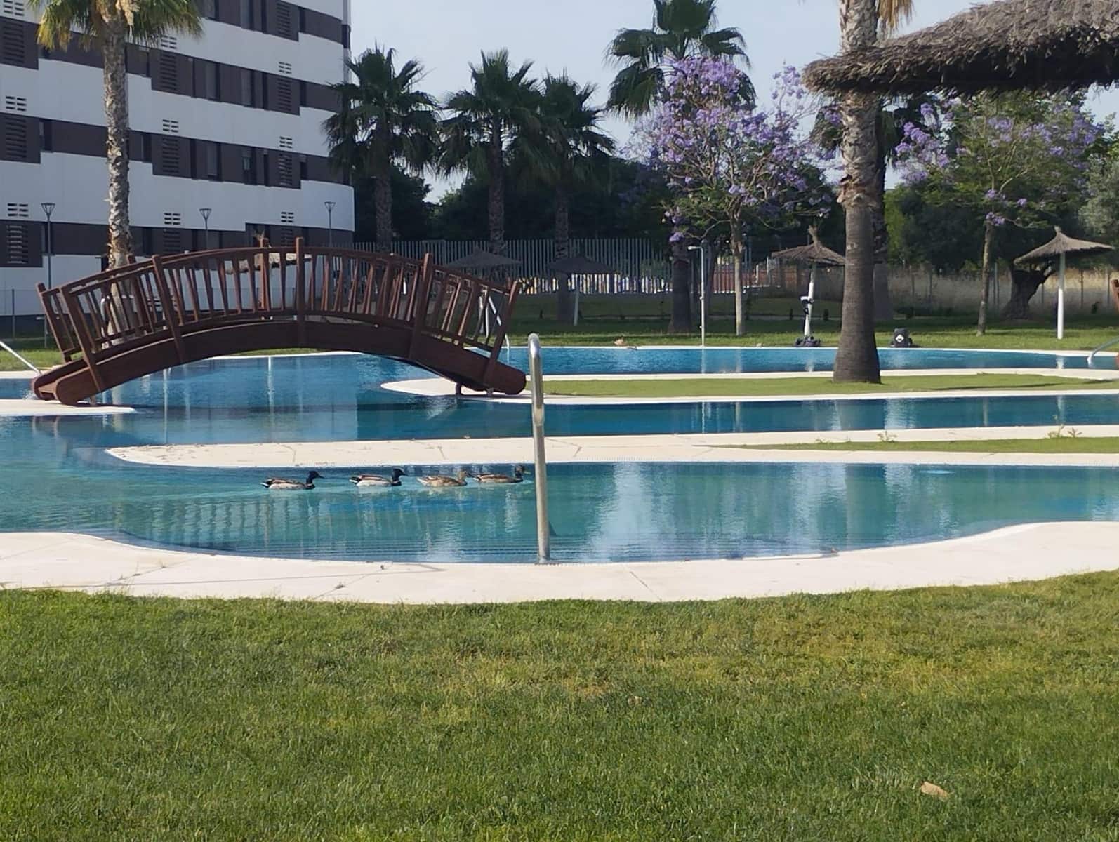 3 quarto Apartamento para arrendar em Sevilha cidade com piscina - 850 € (Ref: 9978947)