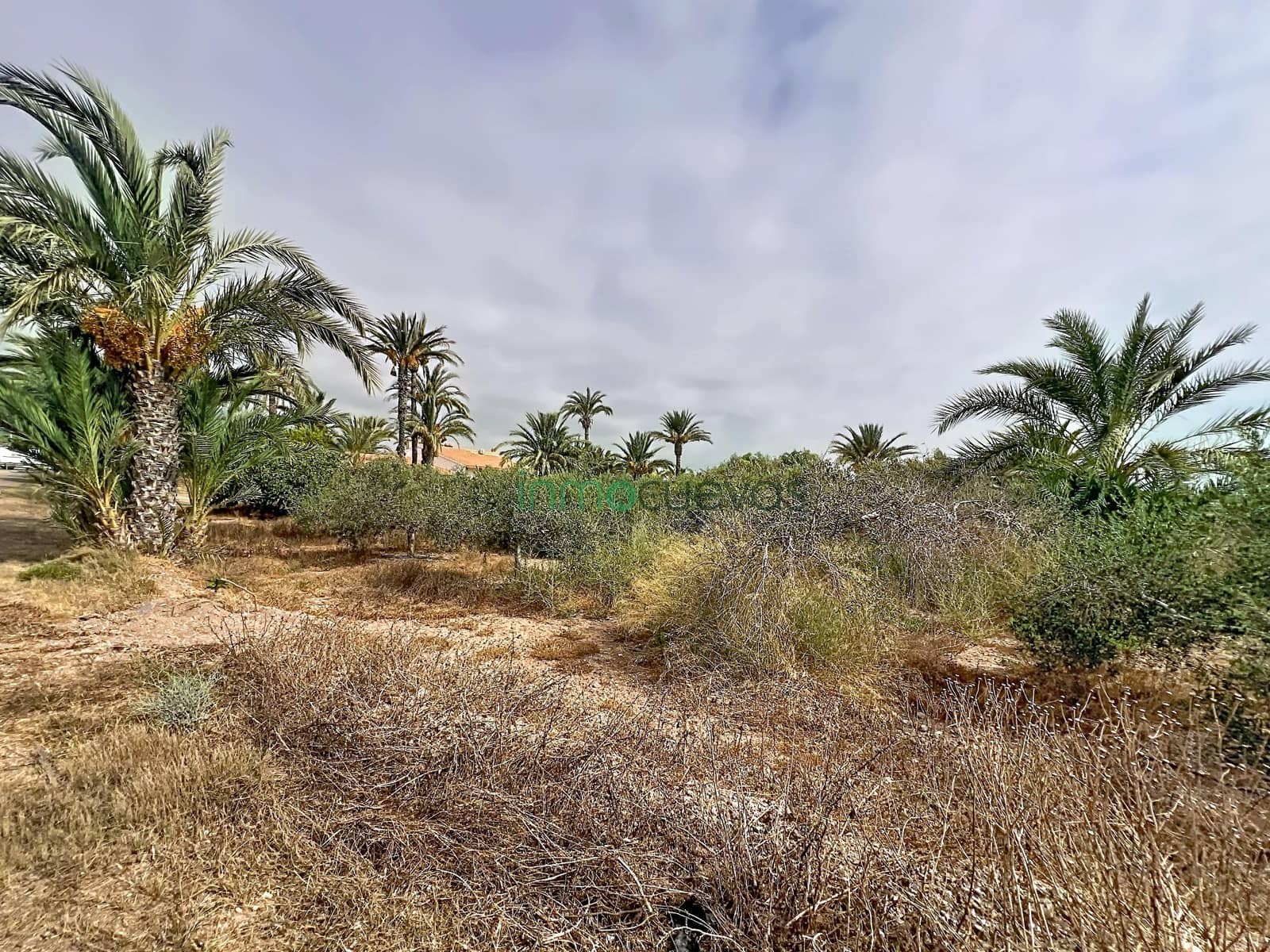 Finca/Casa Rural de 2 habitaciones en San Juan de los Terreros en venta - 120.000 € (Ref: 10081384)
