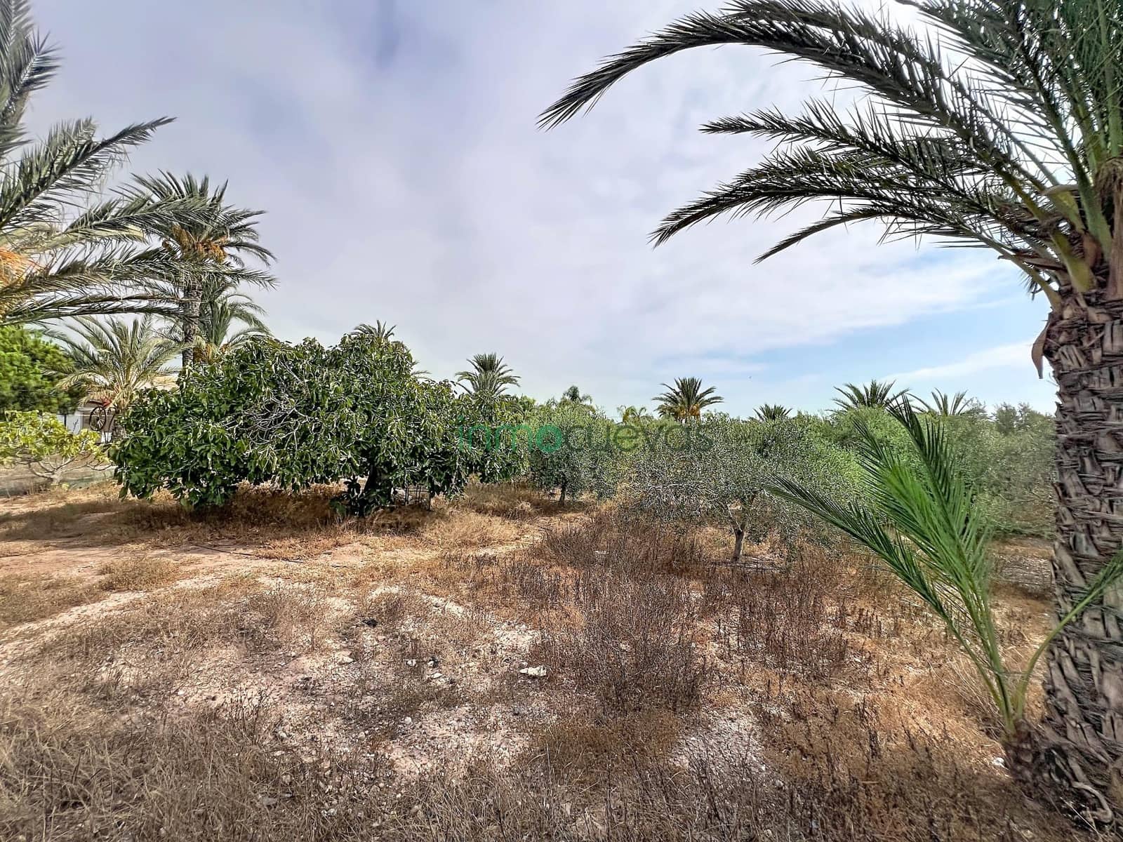 Finca/Casa Rural de 2 habitaciones en San Juan de los Terreros en venta - 120.000 € (Ref: 10081384)
