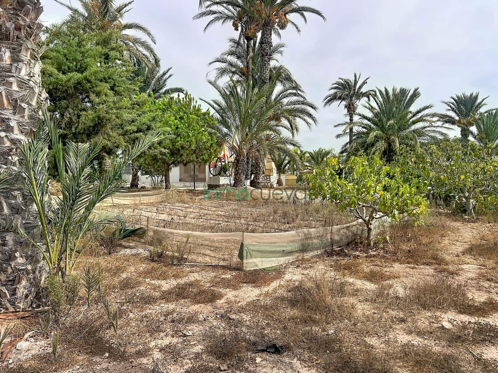 Finca/Casa Rural de 2 habitaciones en San Juan de los Terreros en venta - 120.000 € (Ref: 10081384)