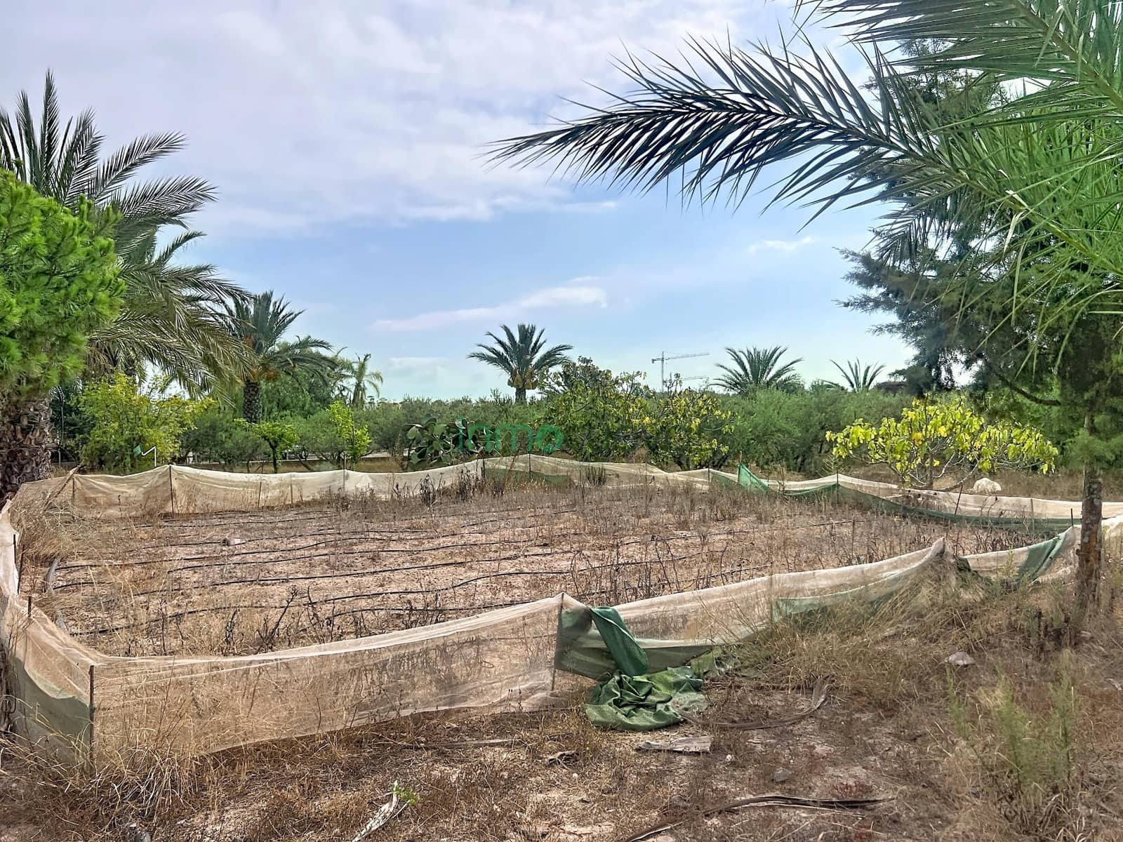 Finca/Casa Rural de 2 habitaciones en San Juan de los Terreros en venta - 120.000 € (Ref: 10081384)