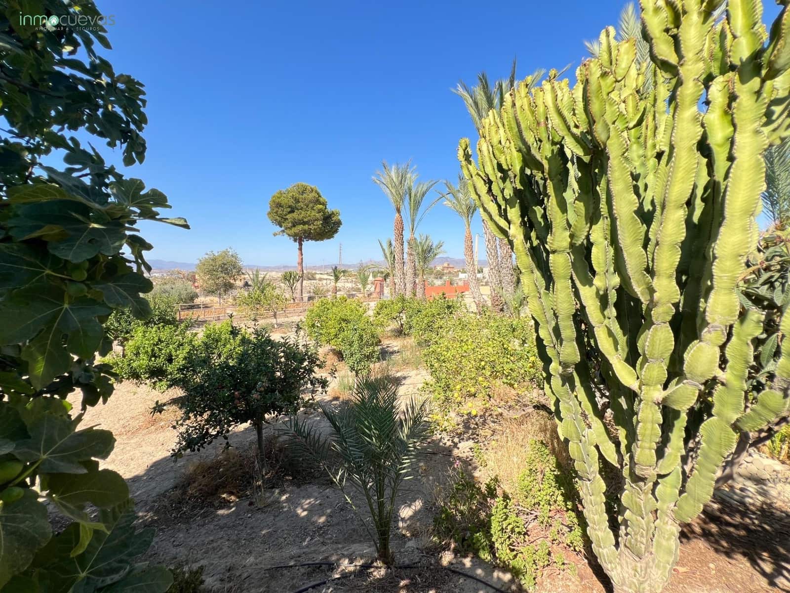 4 soveværelse Finca/Landehus til salg i Vera med garage - € 580.000 (Ref: 8487401)