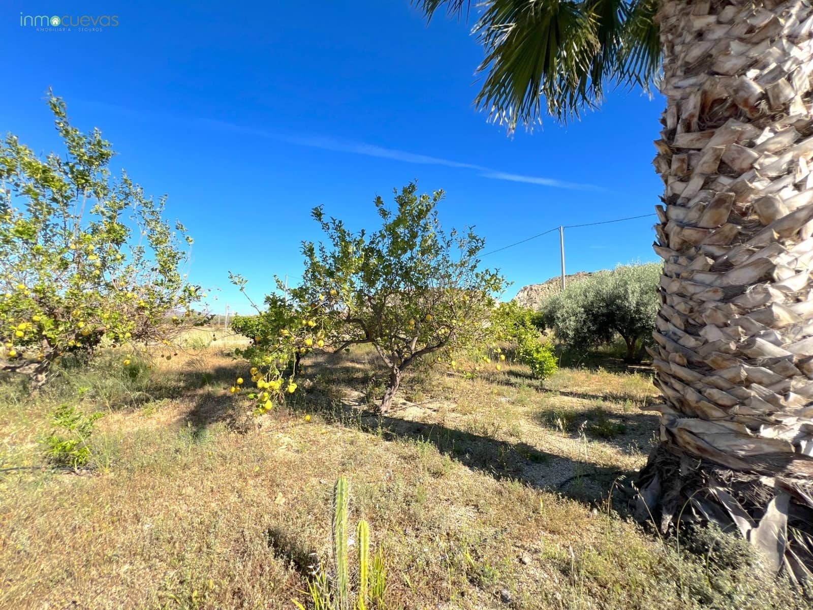 2 soveværelse Finca/Landehus til salg i Cuevas del Almanzora - € 158.000 (Ref: 9003179)