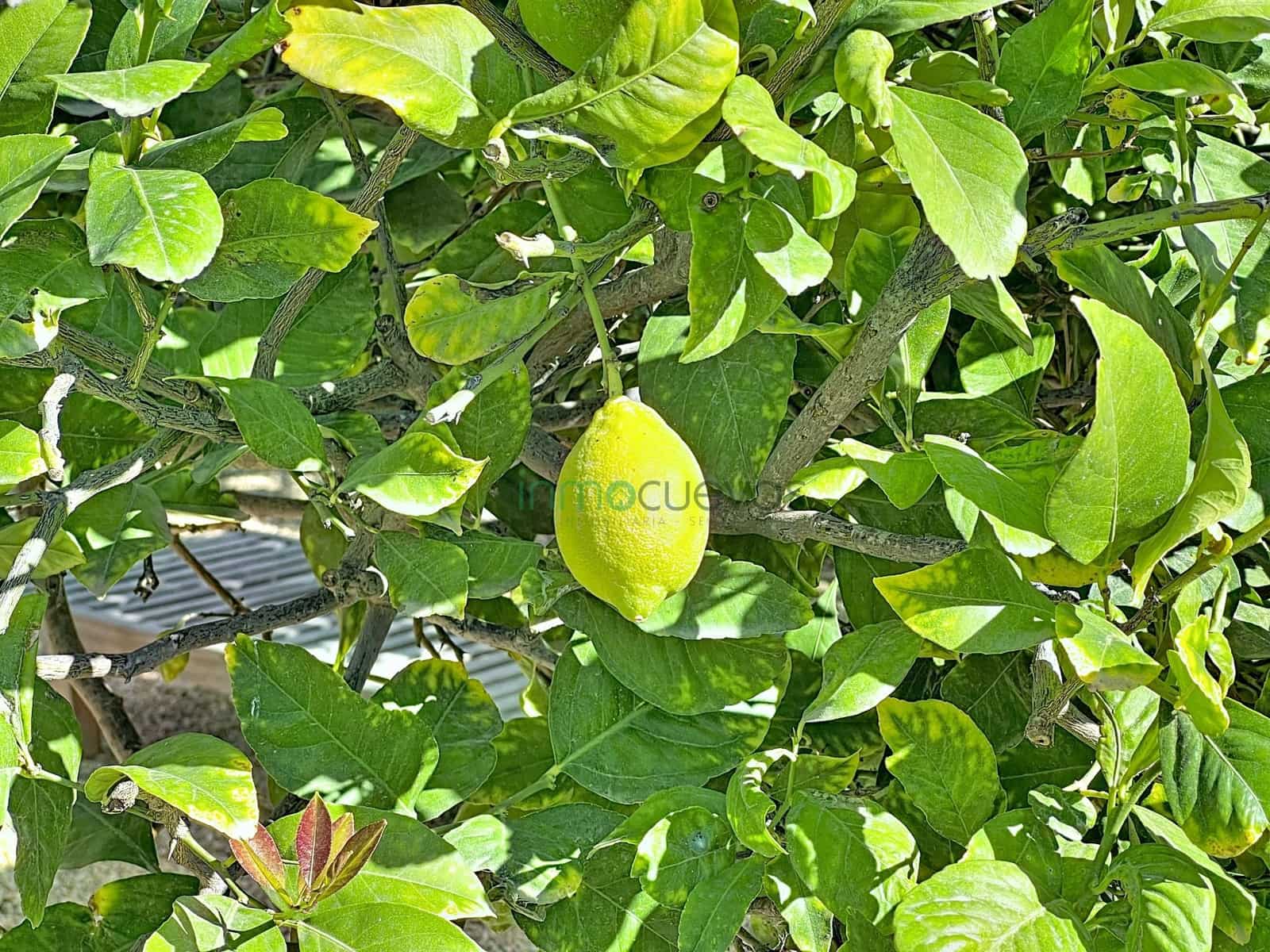 2 camera da letto Finca/Casa di Campagna in vendita in Cuevas del Almanzora con piscina - 220.000 € (Rif: 9427319)