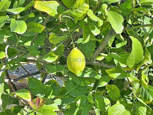 2 camera da letto Finca/Casa di Campagna in vendita in Cuevas del Almanzora con piscina - 220.000 € (Rif: 9427319)