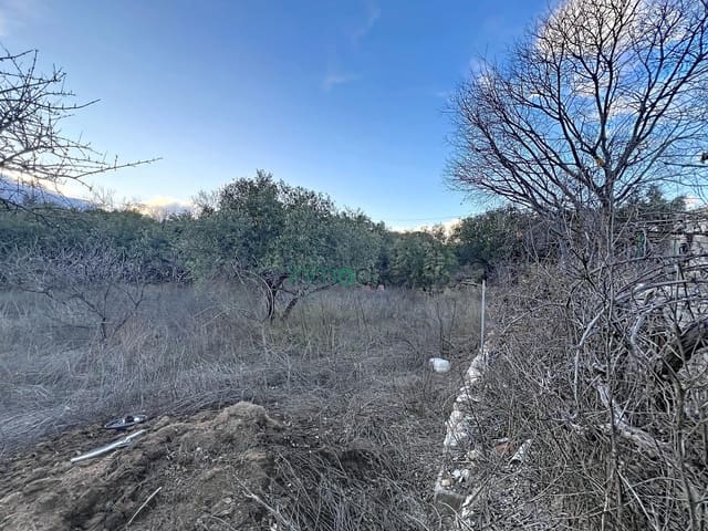 Rakentamaton maa myytävänä paikassa Somontín - 29 000 € (Ref: 9491511)