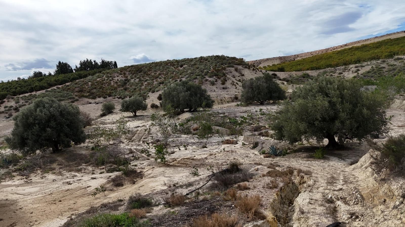 2 quarto Quinta/Casa Rural para venda em Cuevas del Almanzora - 60 000 € (Ref: 9548344)