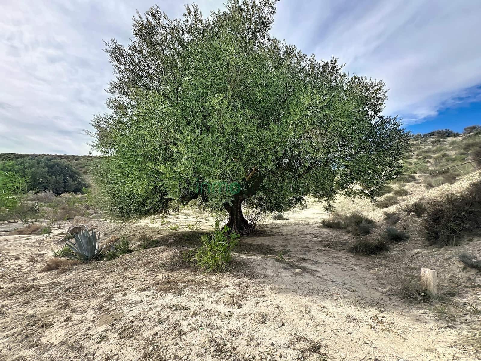 2 quarto Quinta/Casa Rural para venda em Cuevas del Almanzora - 60 000 € (Ref: 9548344)